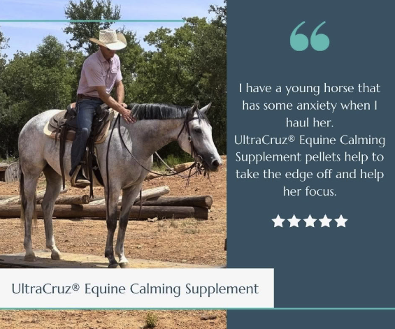 𝑼𝒍𝒕𝒓𝒂𝑪𝒓𝒖𝒛® 𝑬𝒒𝒖𝒊𝒏𝒆 𝑪𝒂𝒍𝒎𝒊𝒏𝒈 𝑺𝒖𝒑𝒑𝒍𝒆𝒎𝒆𝒏𝒕
🐎May help your horse feel more focused, confident, and relaxed.
🐎Can be used for trailering, vet visits, and more.
🐎Pellet or paste options for convenience
#PoweredByUltraCruz
#UltraCruz
#ChoiceofChampions