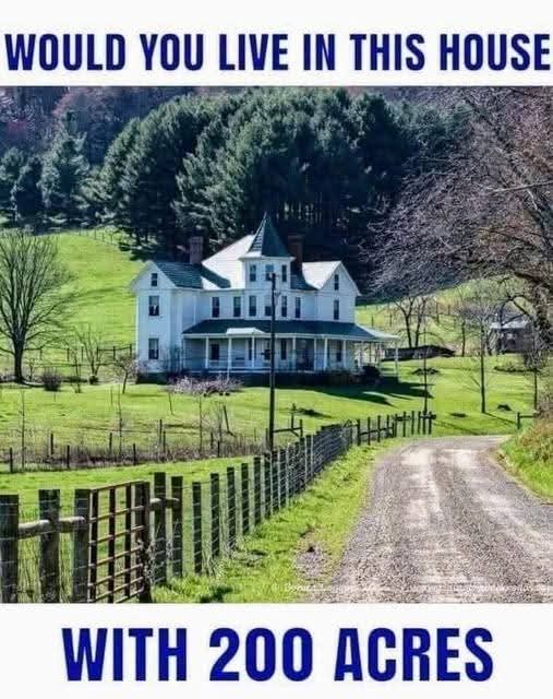 Johnny Cadillac tweet media