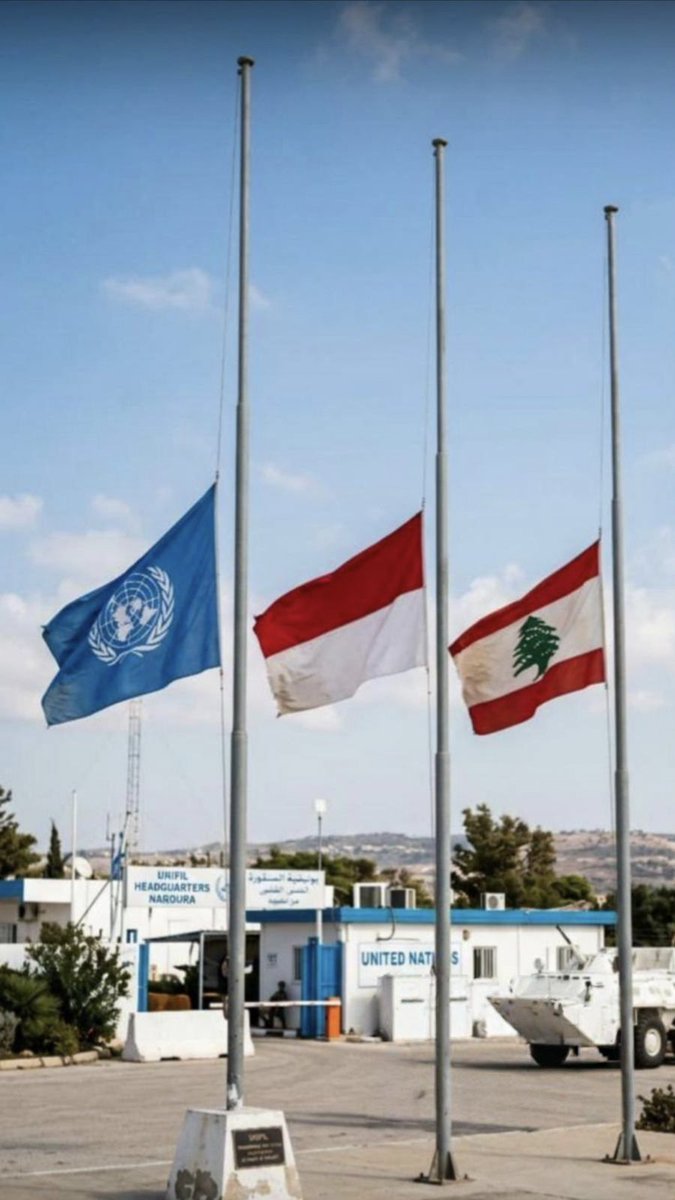 Sandhook Awakening tweet media