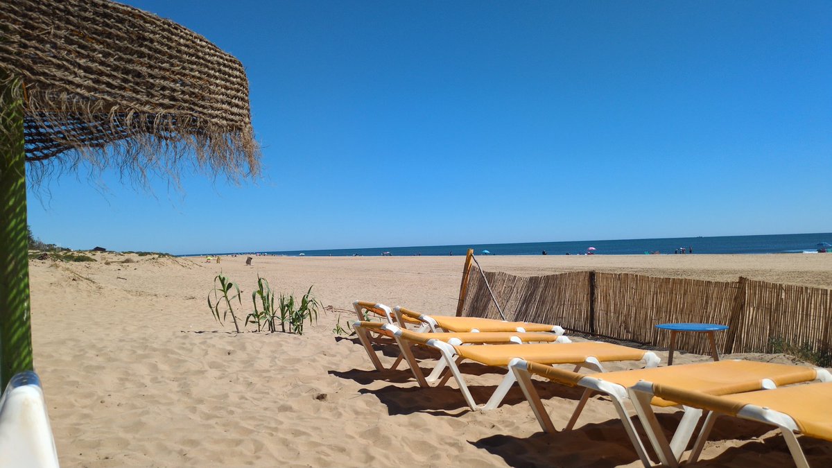 Fernando Amador tweet media