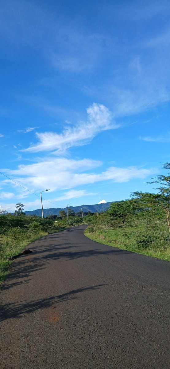 𝑺𝒉𝒆𝒓𝒐✨ tweet media