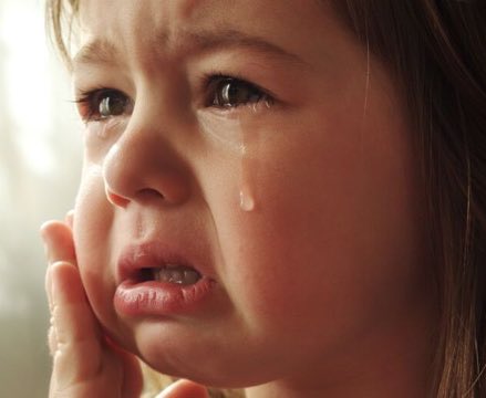 Sir 𝕏 tweet media