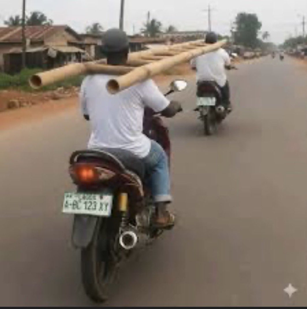 Dóuglas Fir🗽 tweet media