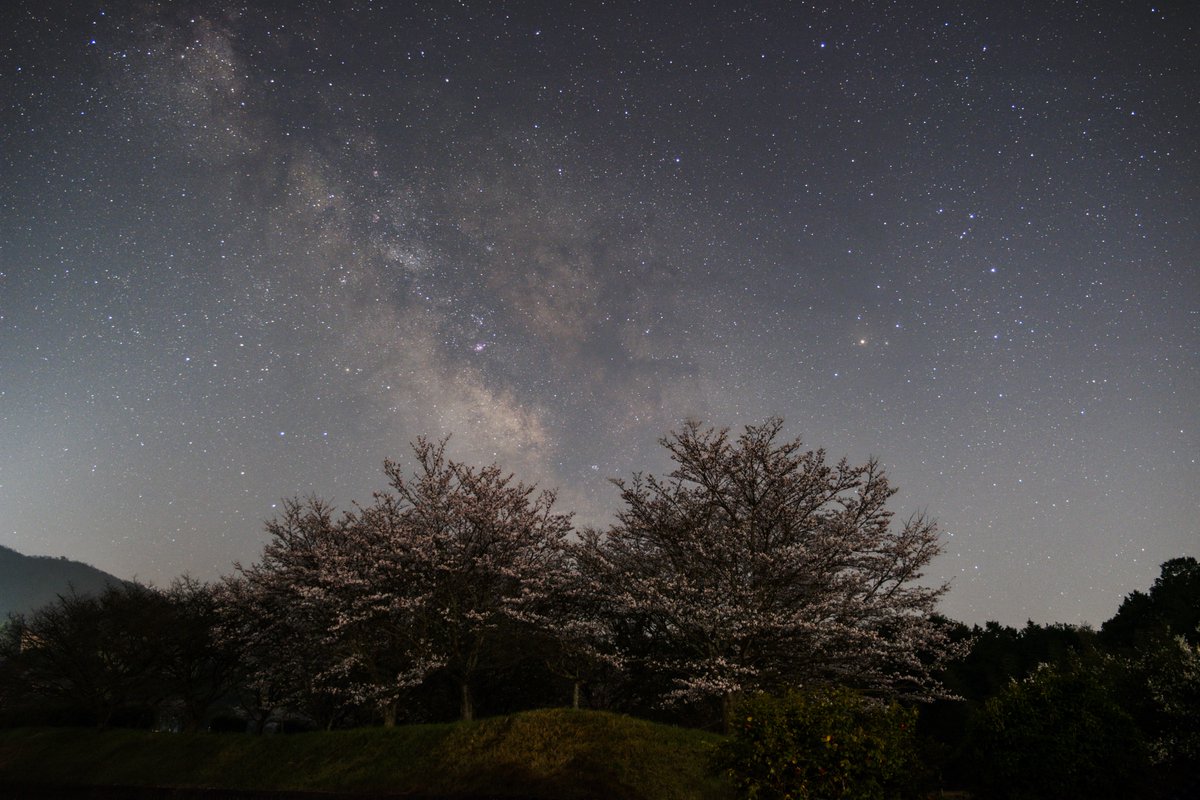 A&B photo Enif tweet media