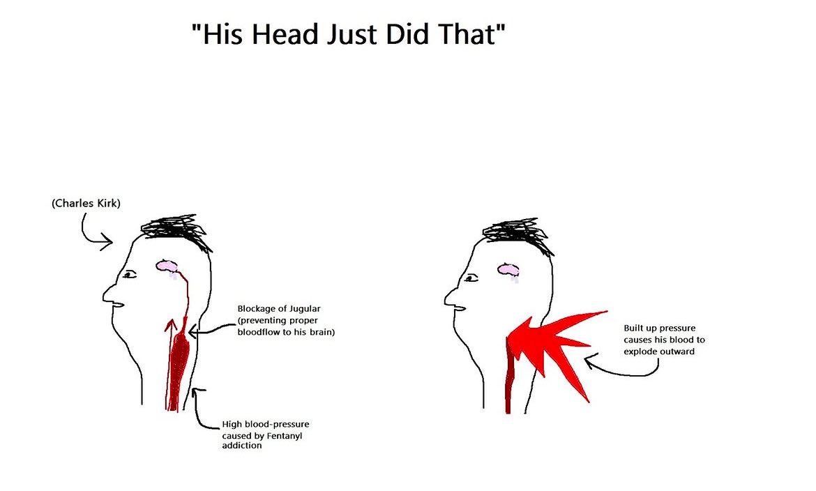 Trunkit 🐀 tweet media