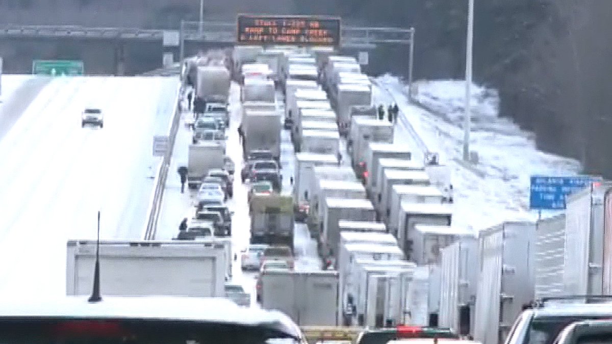 Bandit-Red-One tweet media