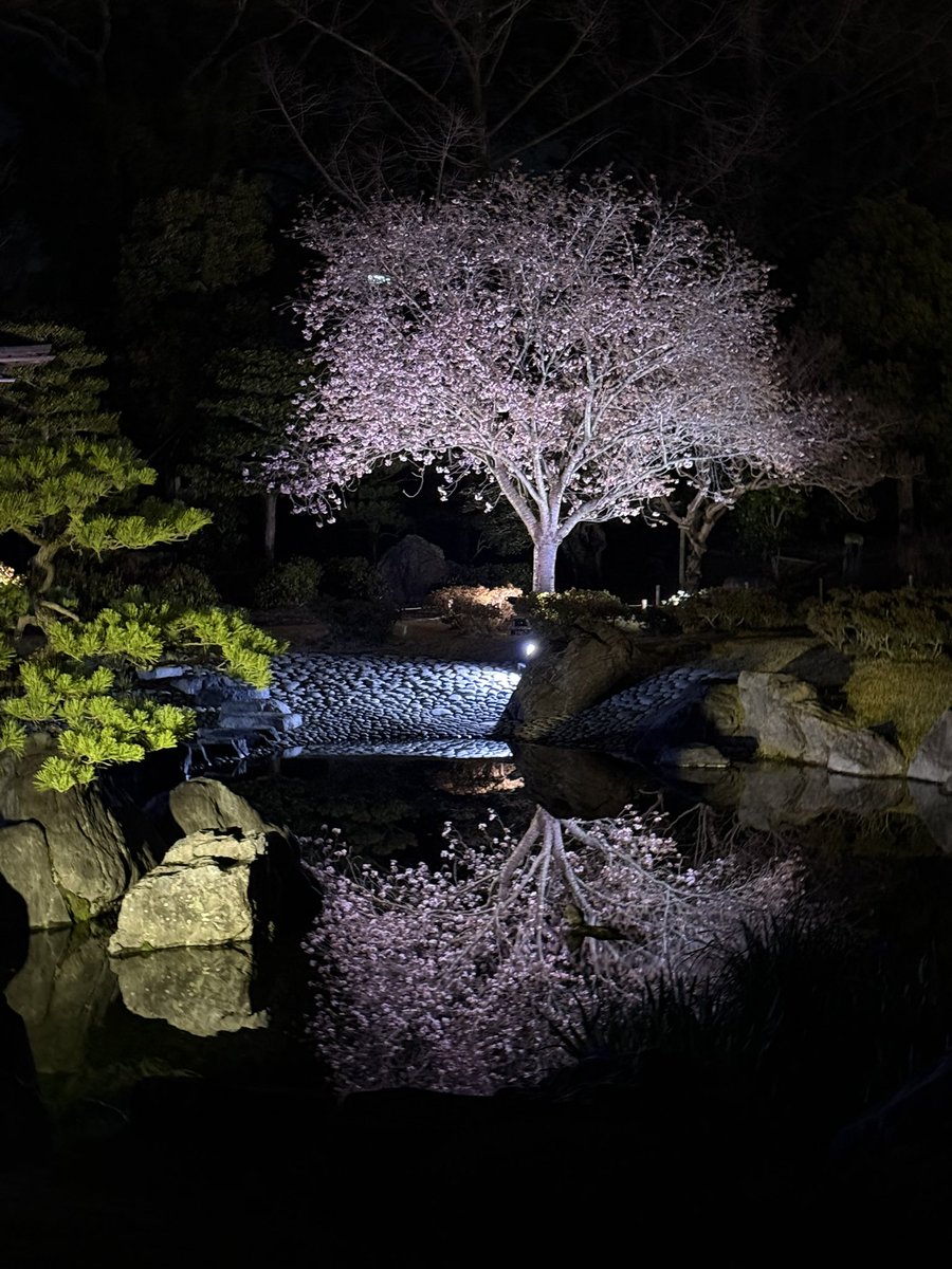 土城温美 tweet media