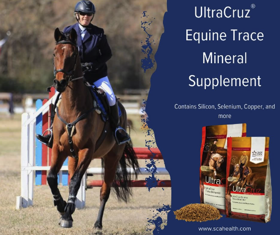Support your horse from the inside out with UltraCruz® Equine Trace Mineral Supplement 🐴✨
Balanced minerals to help promote overall health, performance, and vitality—because every detail matters.
#UltraCruz #EquineHealth #HorseCare #PerformanceHorse