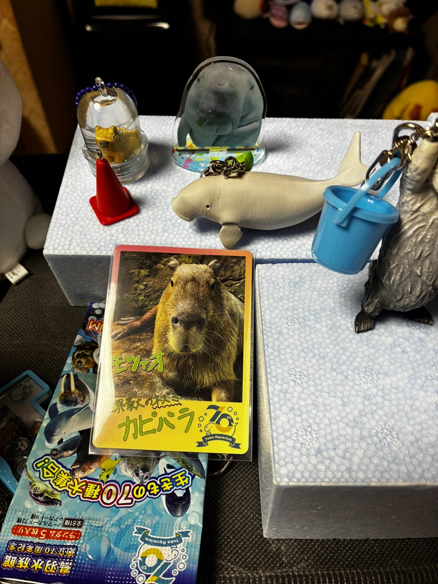 ずず。 tweet media