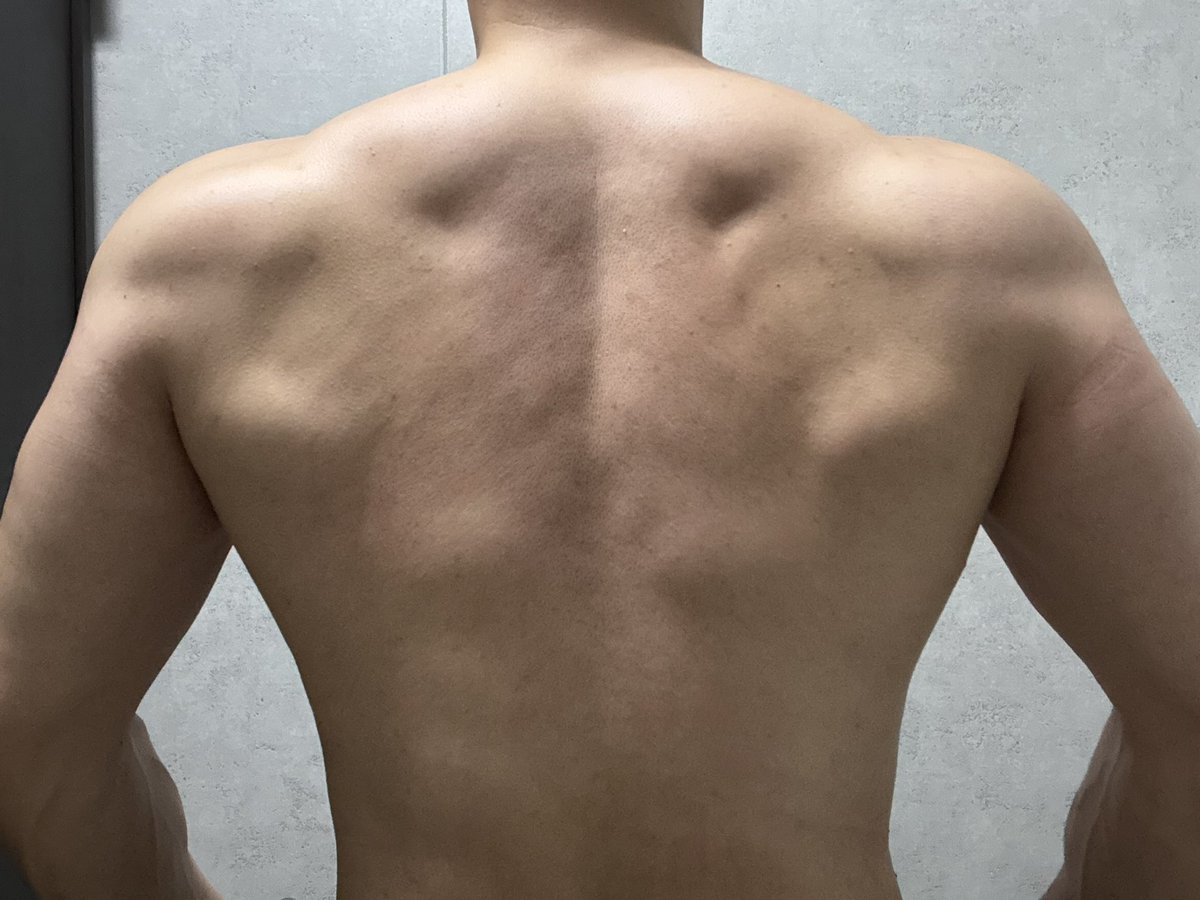 桜蒔（はるま） tweet media