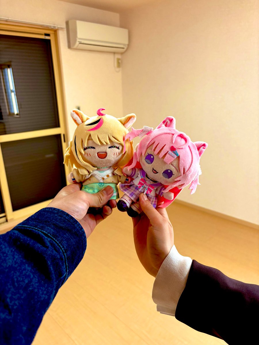 シトミ tweet media