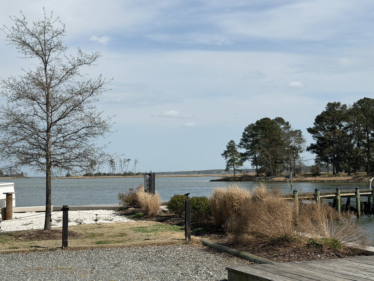 Shannon Roe tweet media