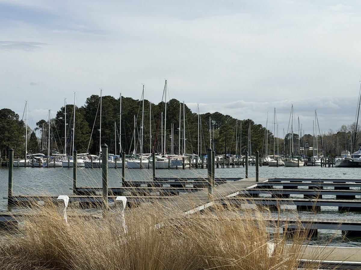 Shannon Roe tweet media