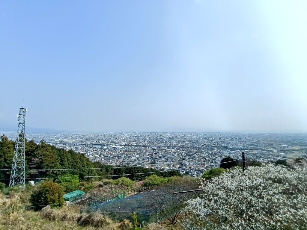 あすか 🐢 tweet media