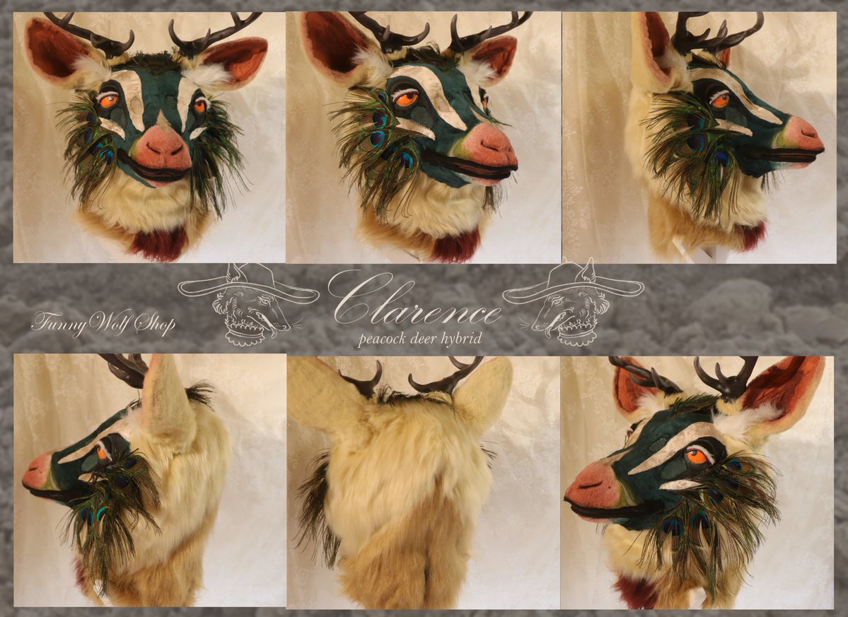 🦷 𝐅𝐮𝐧𝐧𝐲 𝐇𝐨𝐫𝐬𝐞 𝐆𝐮𝐲 🦷 tweet media