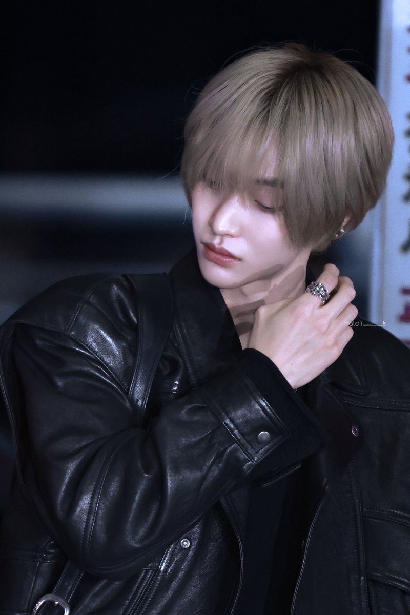 halo'𝙞 tweet media