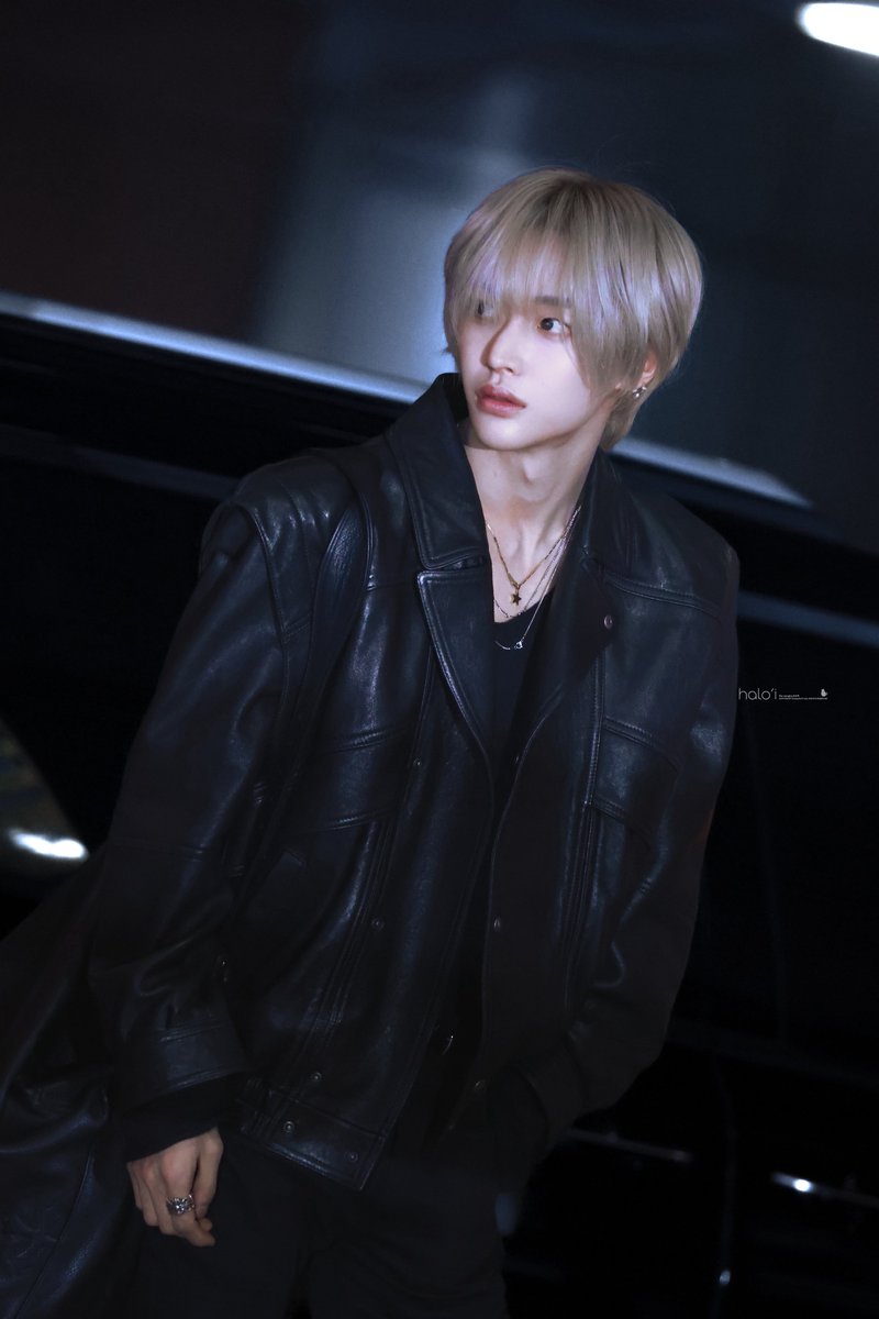 halo'𝙞 tweet media