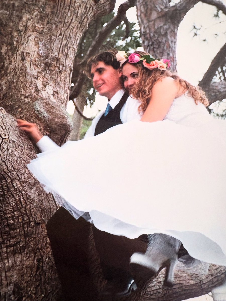 The Dollyrots tweet media