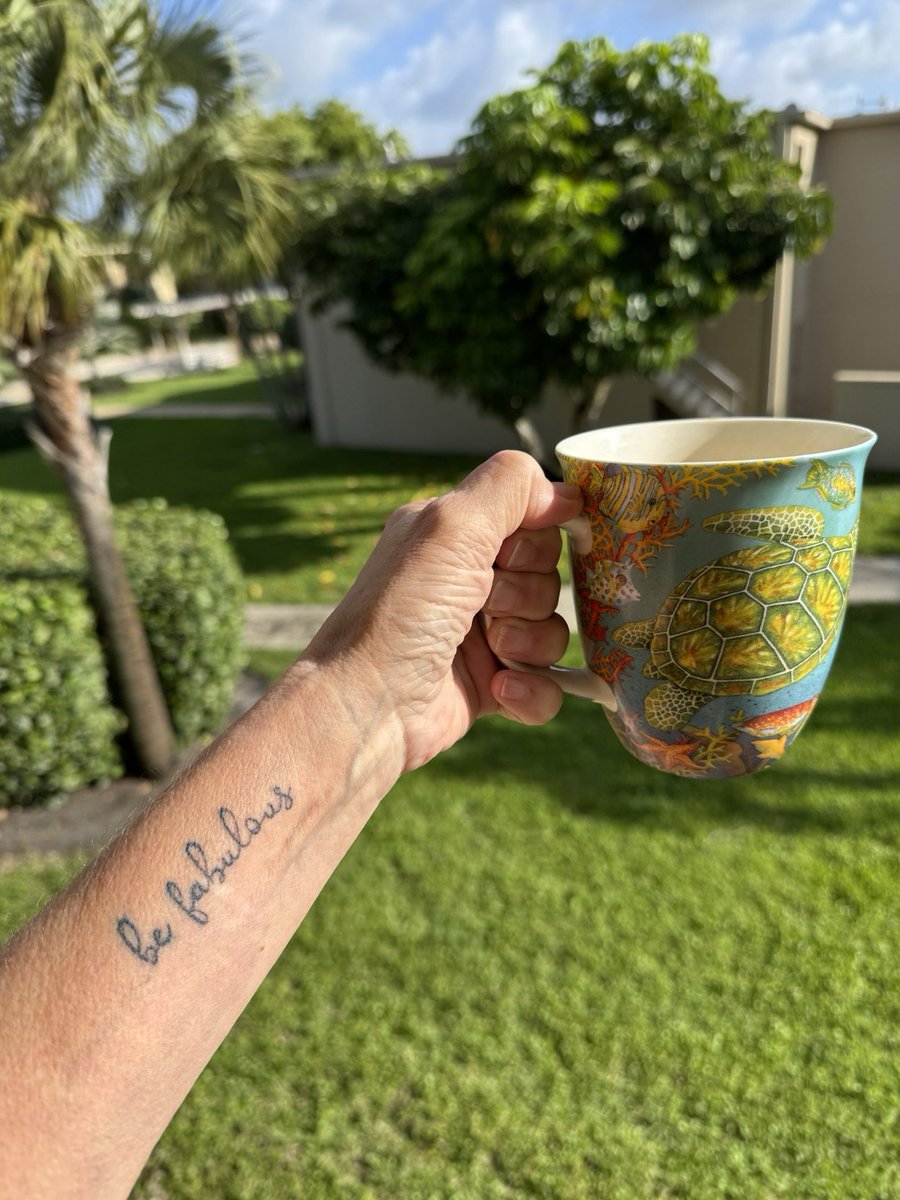 ✨Sababa✨ tweet media