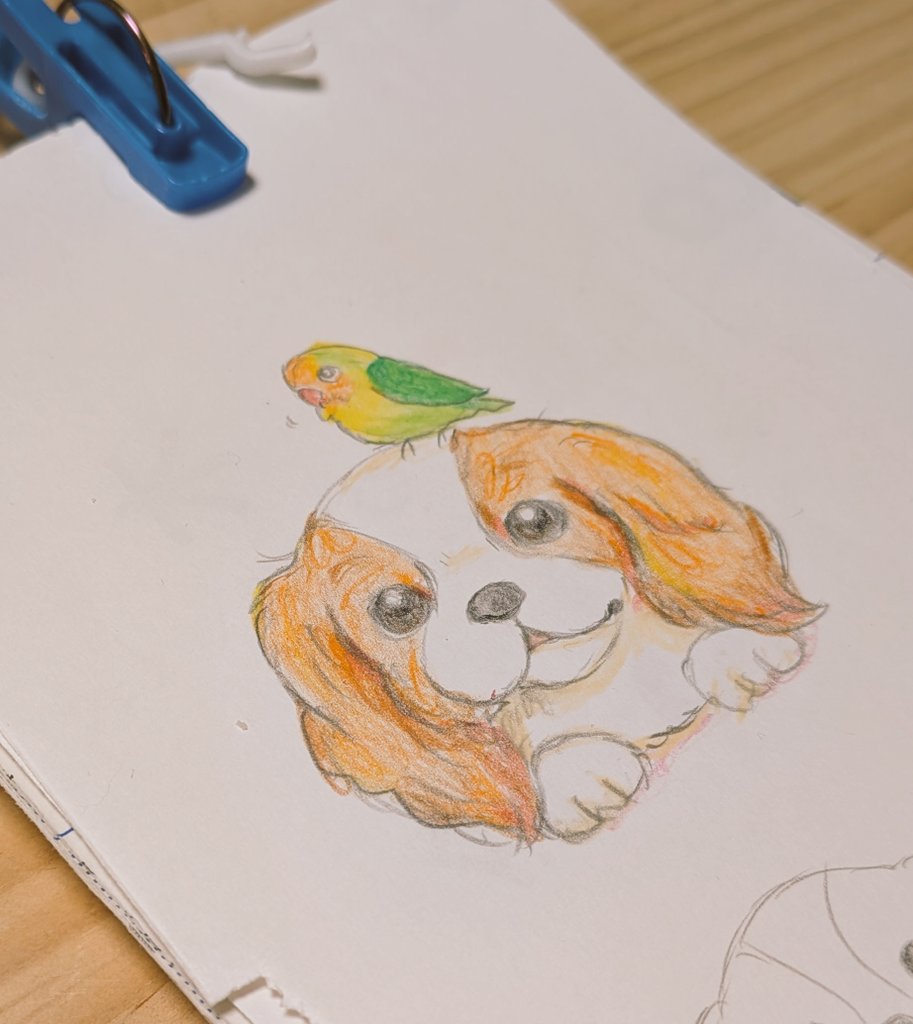 🌼みちころ michicoro 🐤 tweet media