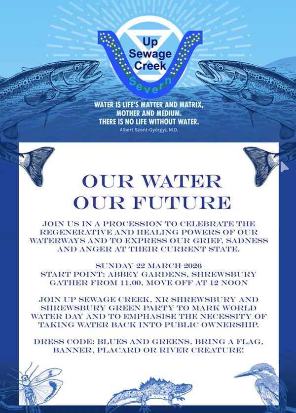 Coton Crescent tweet media