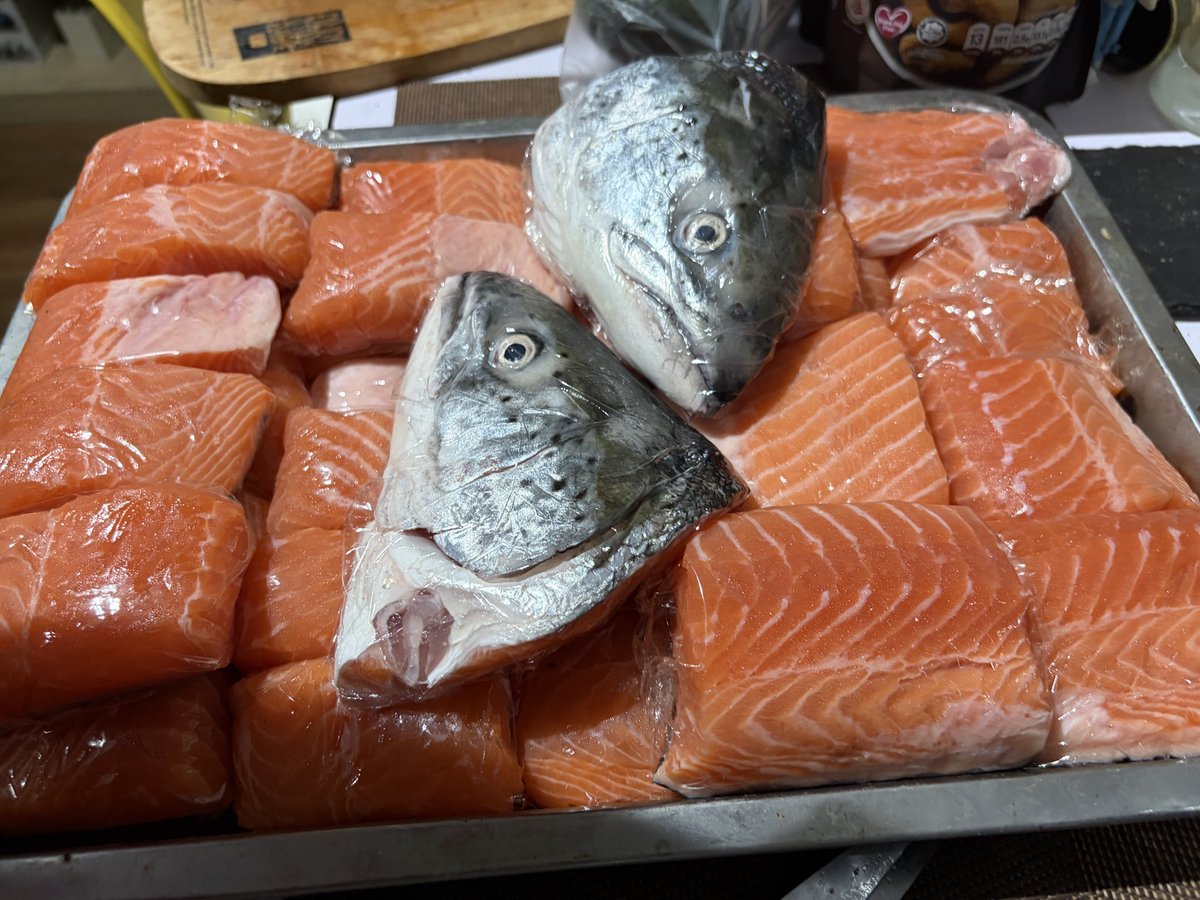 OSAMU🐻Nice道民🇸🇬 tweet media