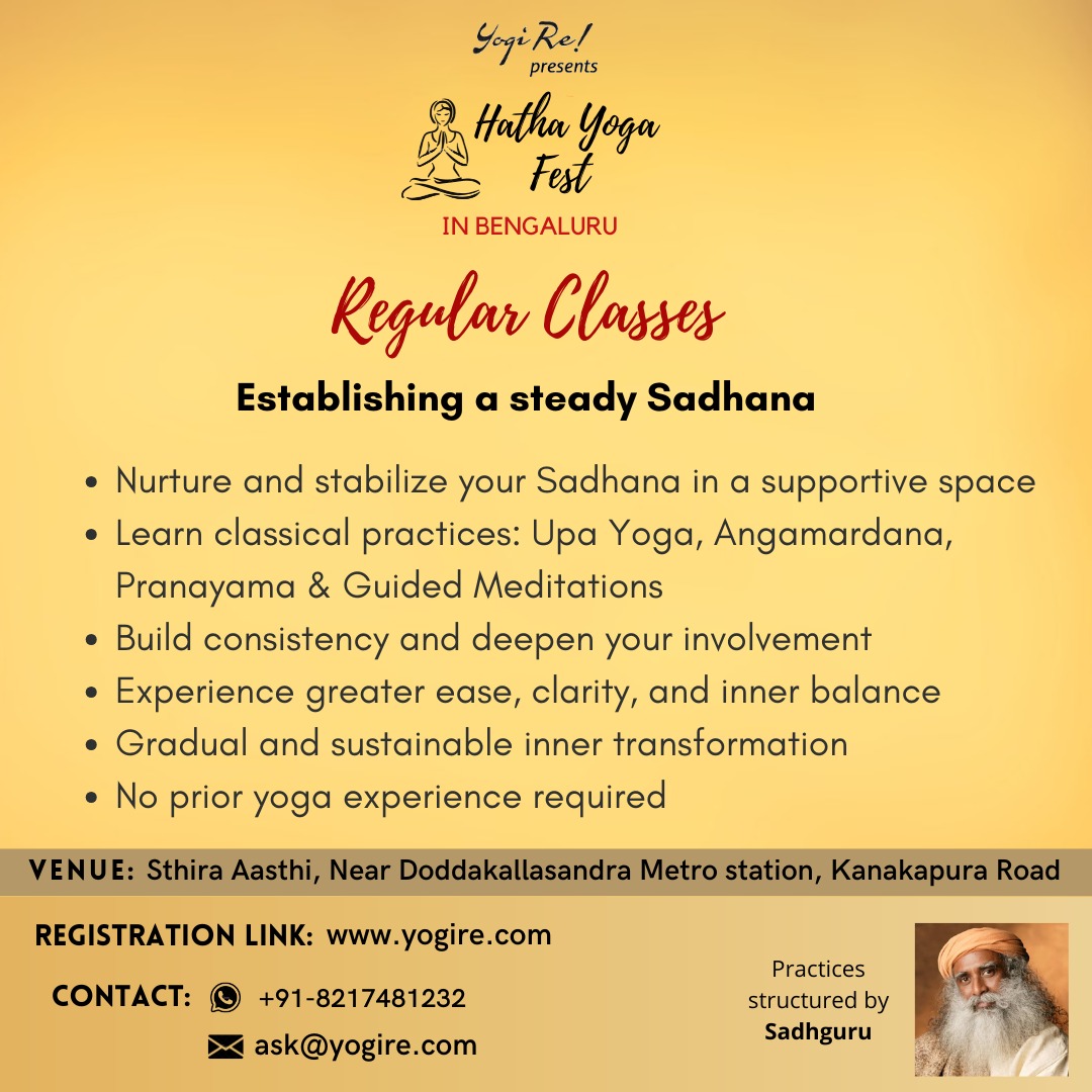 Yogi Re! tweet media