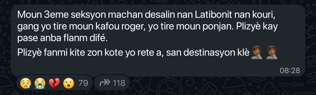 M. Jude🇧🇷𓃵 tweet media