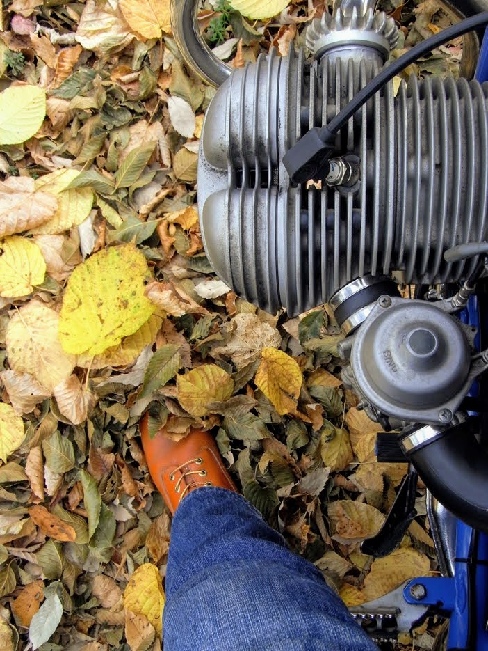 オイノ森 tweet media