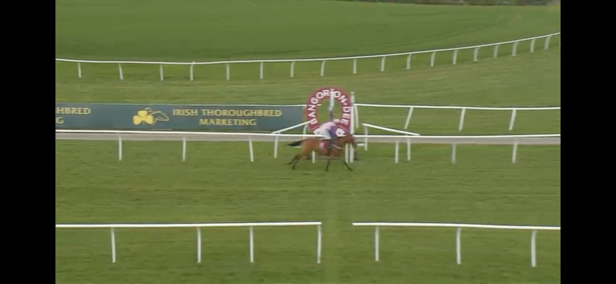 PG Racing 🐎 tweet media