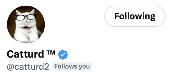 Southern Grace 🔥✨ tweet media