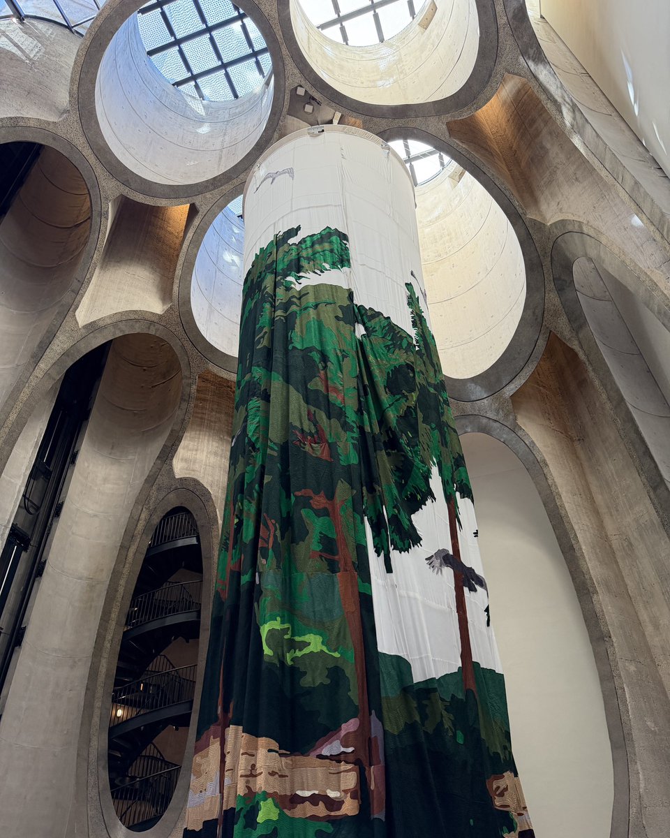 Sean Brown tweet media