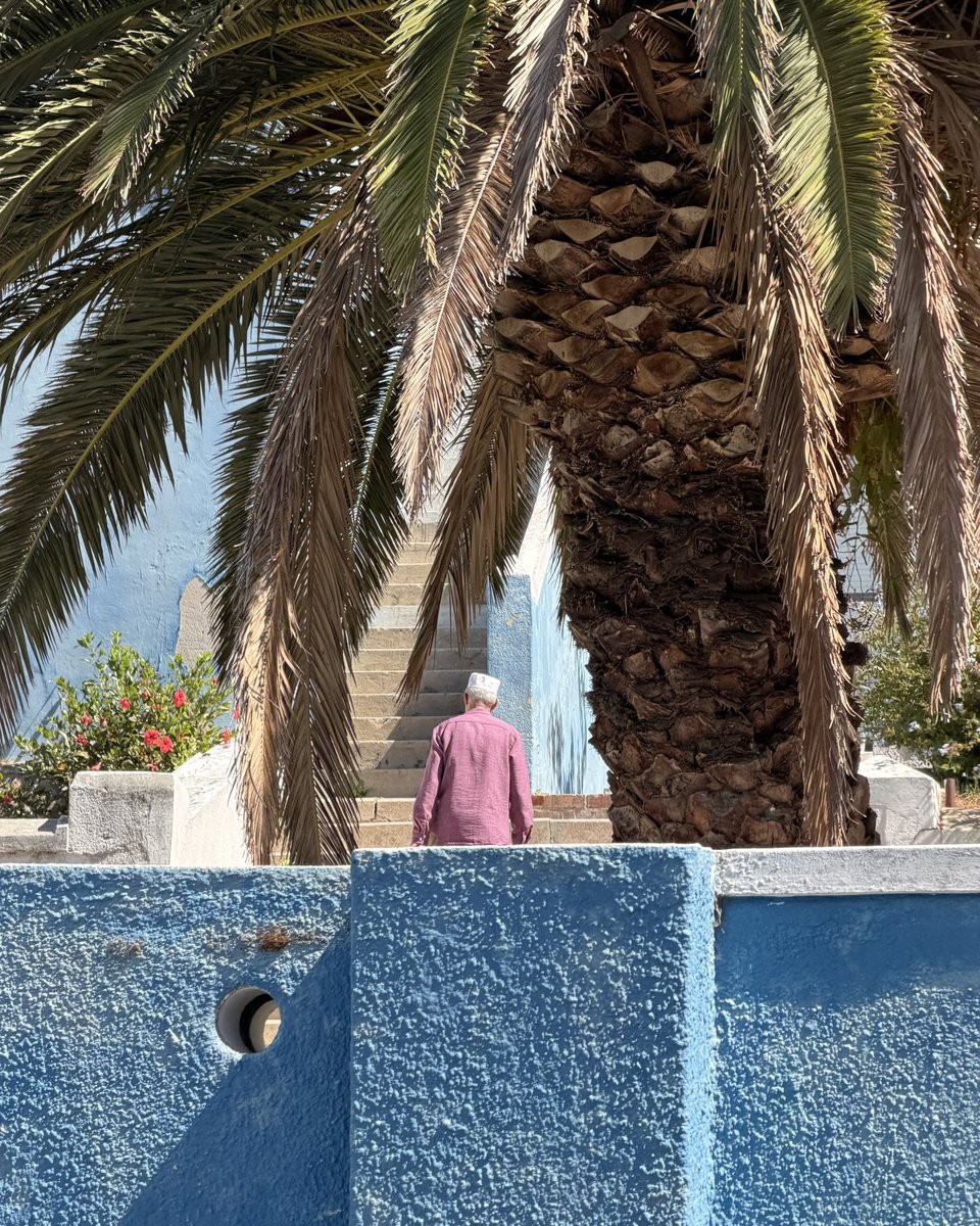 Sean Brown tweet media