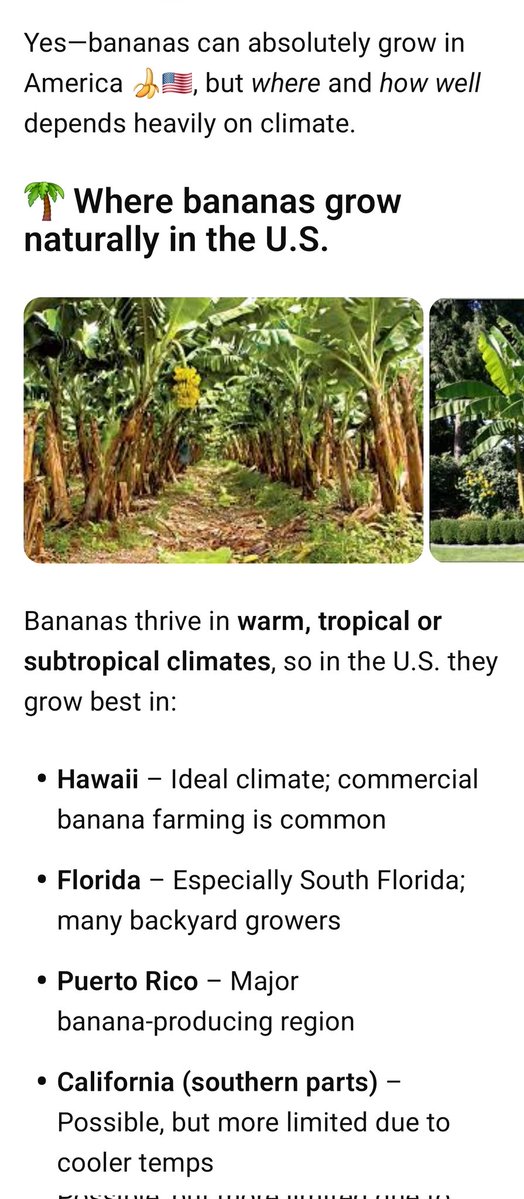 Jeff_XRP tweet media