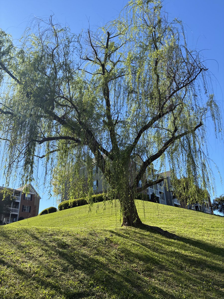 ꩜gabrielle tweet media