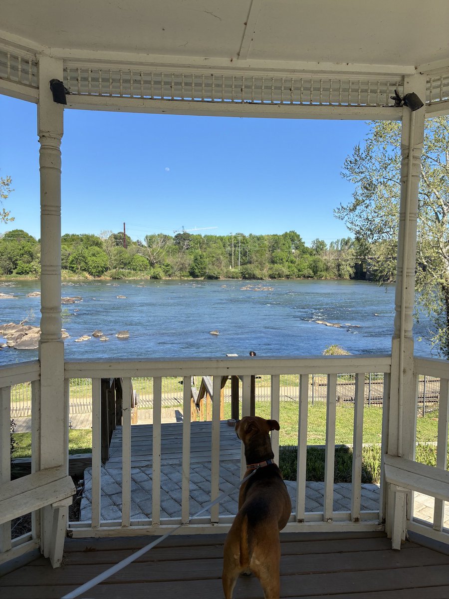 ꩜gabrielle tweet media