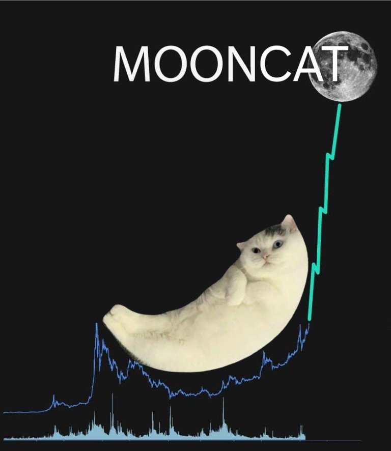 Ghost Trencher tweet media