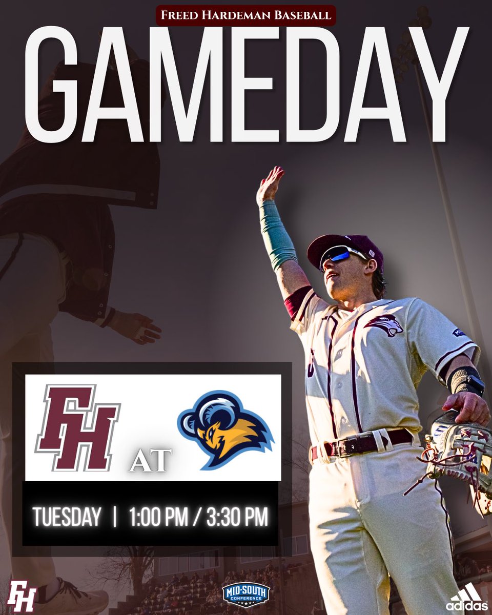 FHU Lions Baseball tweet media