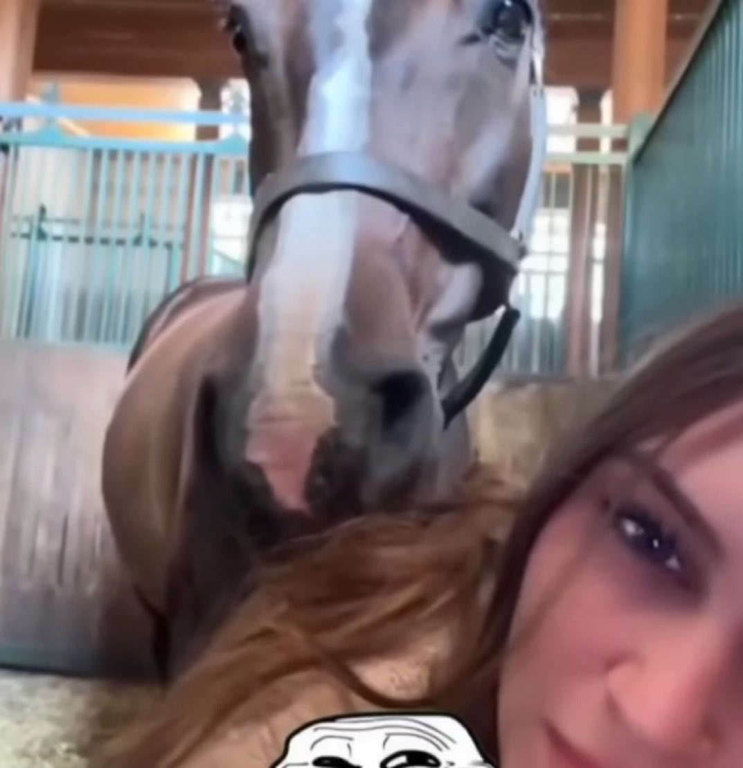 AlphaNumericX tweet media