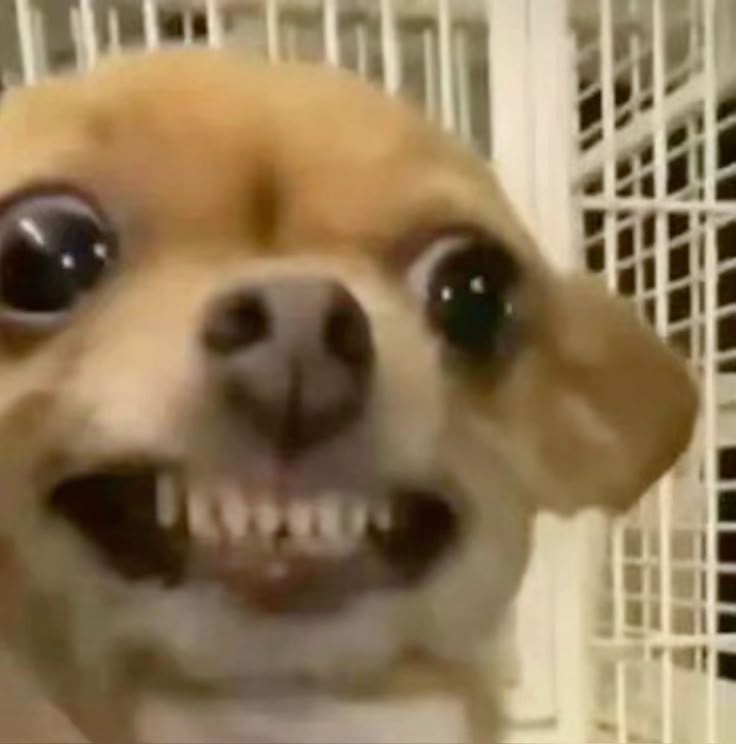 ‎ 𝓝𝓚 tweet media