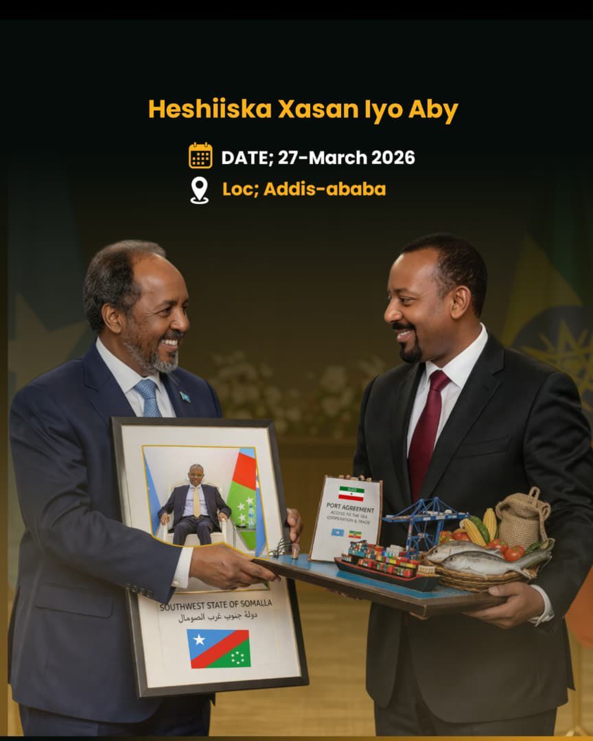 Elham Ishmael ✍︎ tweet media