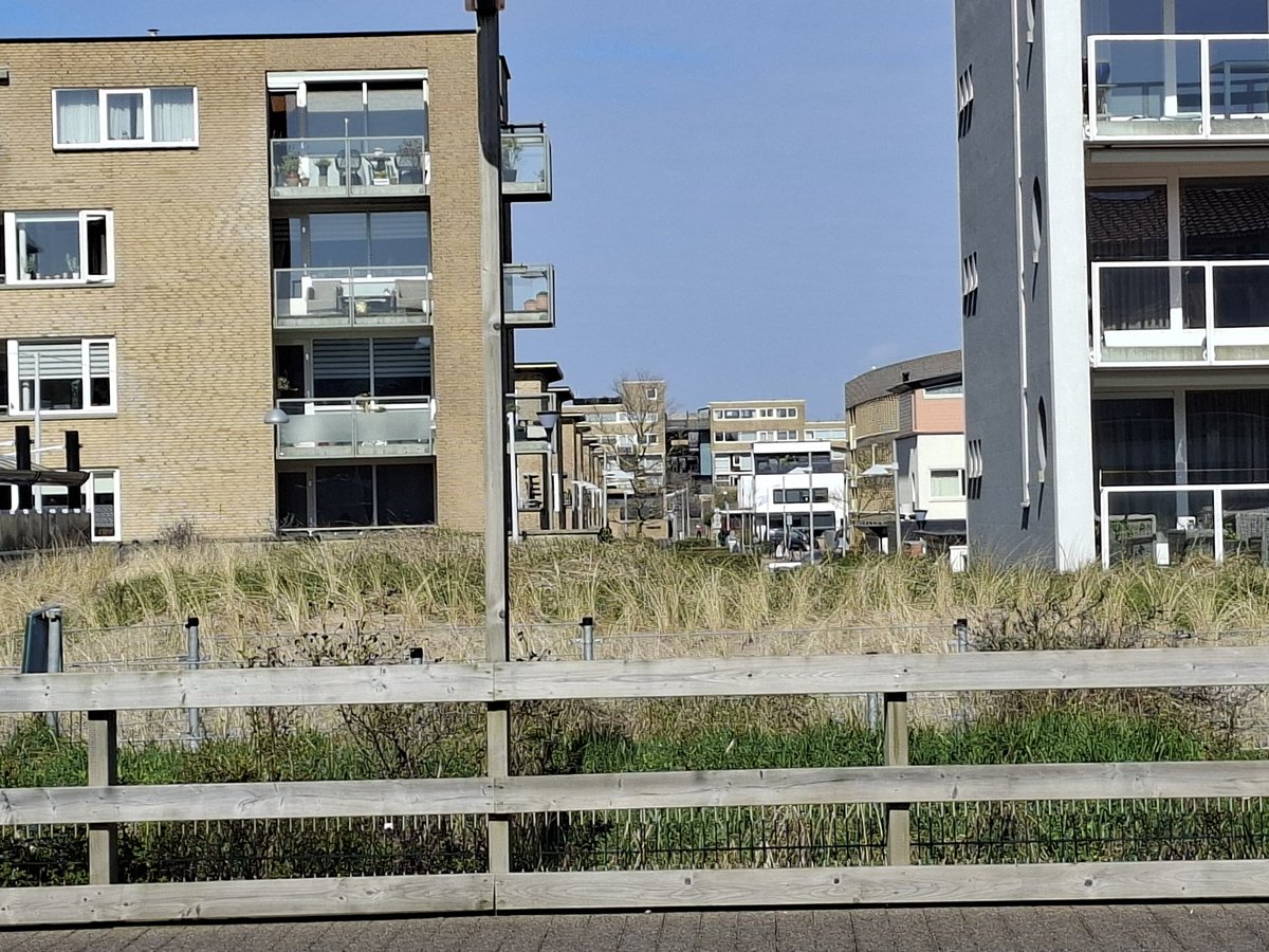 Jules_Obamius tweet media