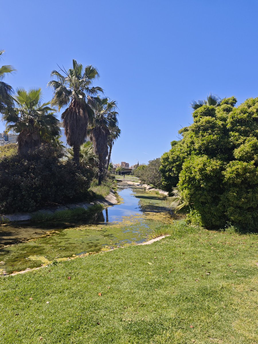 Jony Fergo 𓆰𓆪 tweet media