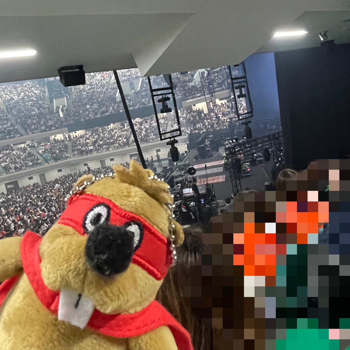 Томоко🦫🌾🦱🐒🍏 tweet media