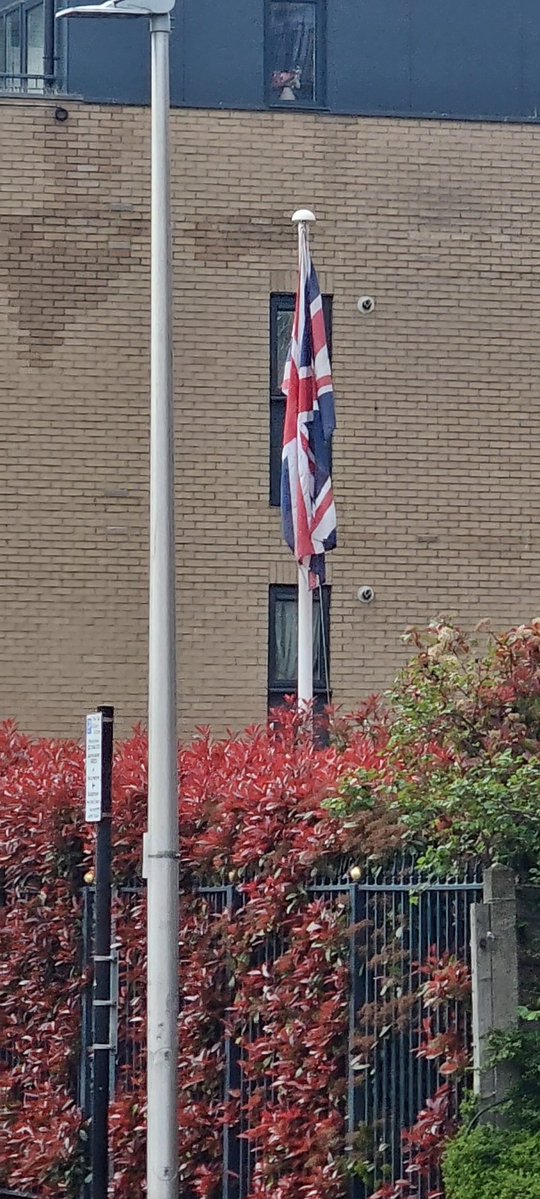 Aariz Ashraf tweet media