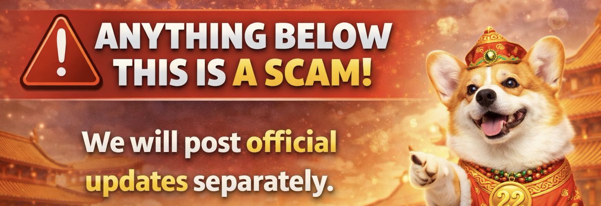 Chinese Corgi 犬 tweet media