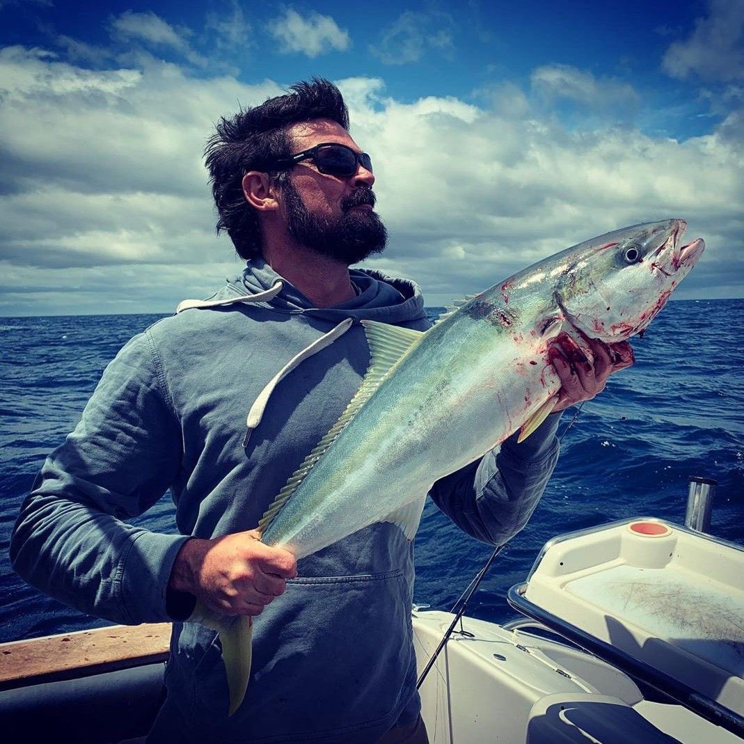 jurídico billy butcher 🧪 tweet media