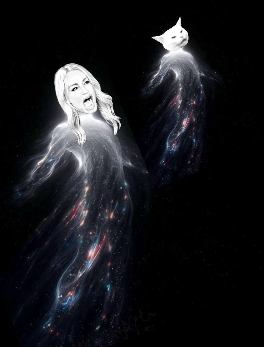 Woman Yelling at Cat tweet media