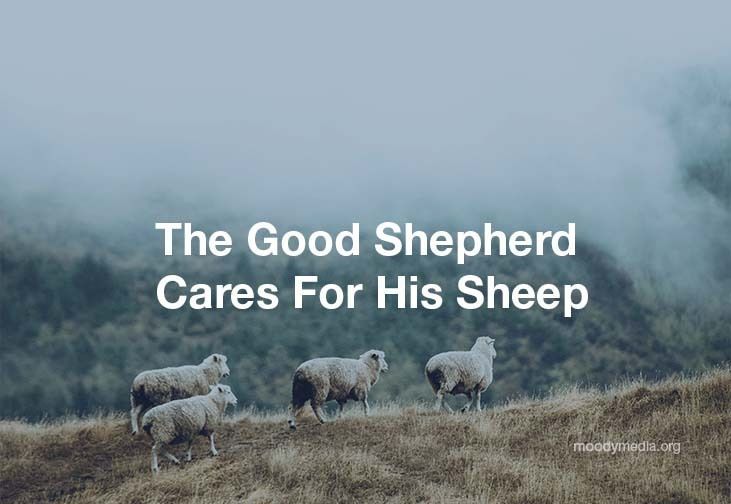 Moody Church Media tweet media