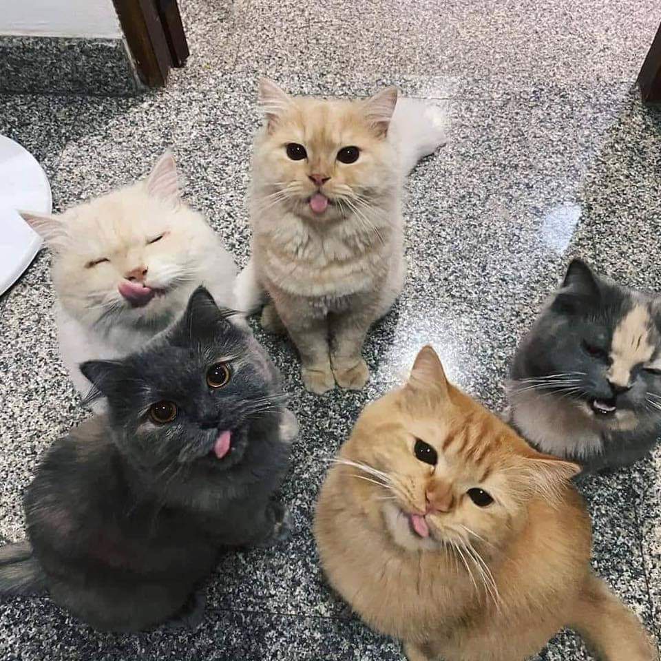 Marcus DJ tweet media